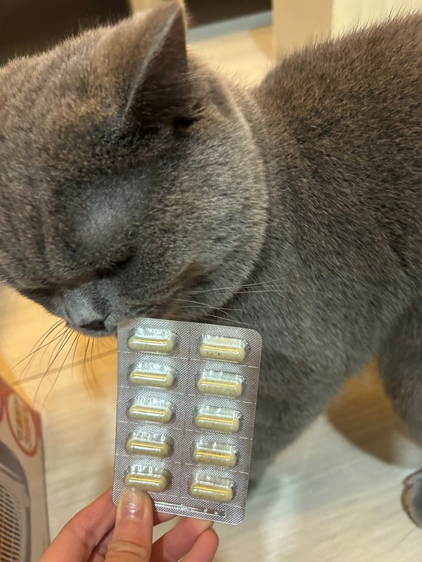 試用